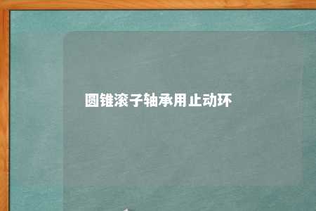 圆锥滚子轴承用止动环 