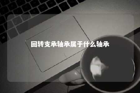 回转支承轴承属于什么轴承 