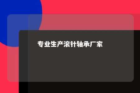 专业生产滚针轴承厂家 
