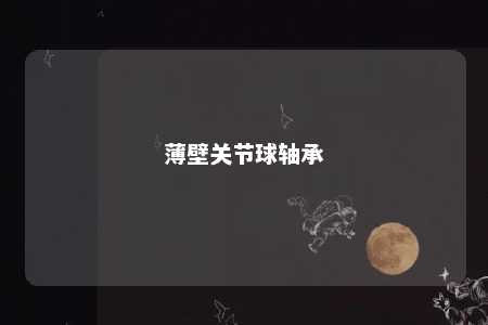 薄壁关节球轴承 