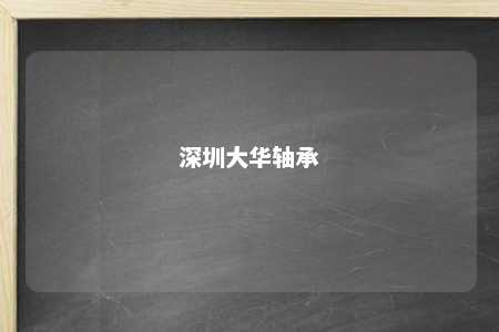 深圳大华轴承 