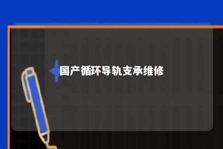 国产循环导轨支承维修 
